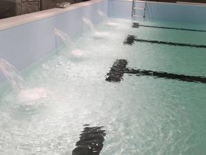 派陽山森林康養